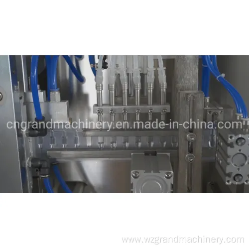 Liquid Filling and Sealing Machine Ggs-118 (P5)